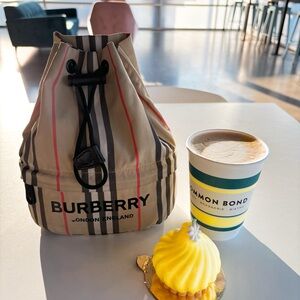 🇺🇸 4th of July Sale 🔥 Burberry Bag